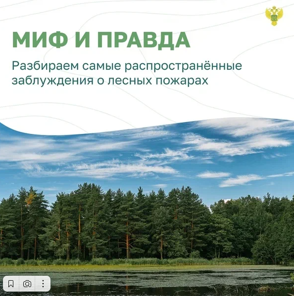 Миф и правда.